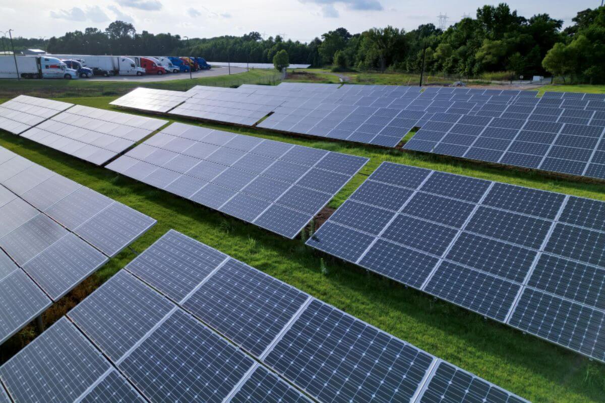 5 Types of Solar Panels Best for Industrial Use