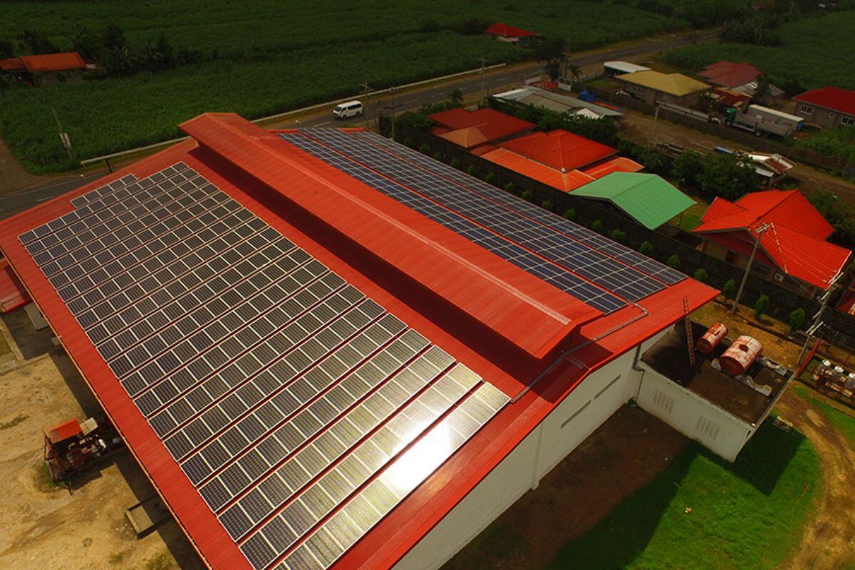 5 Sustainable Practices to Try in the New Year