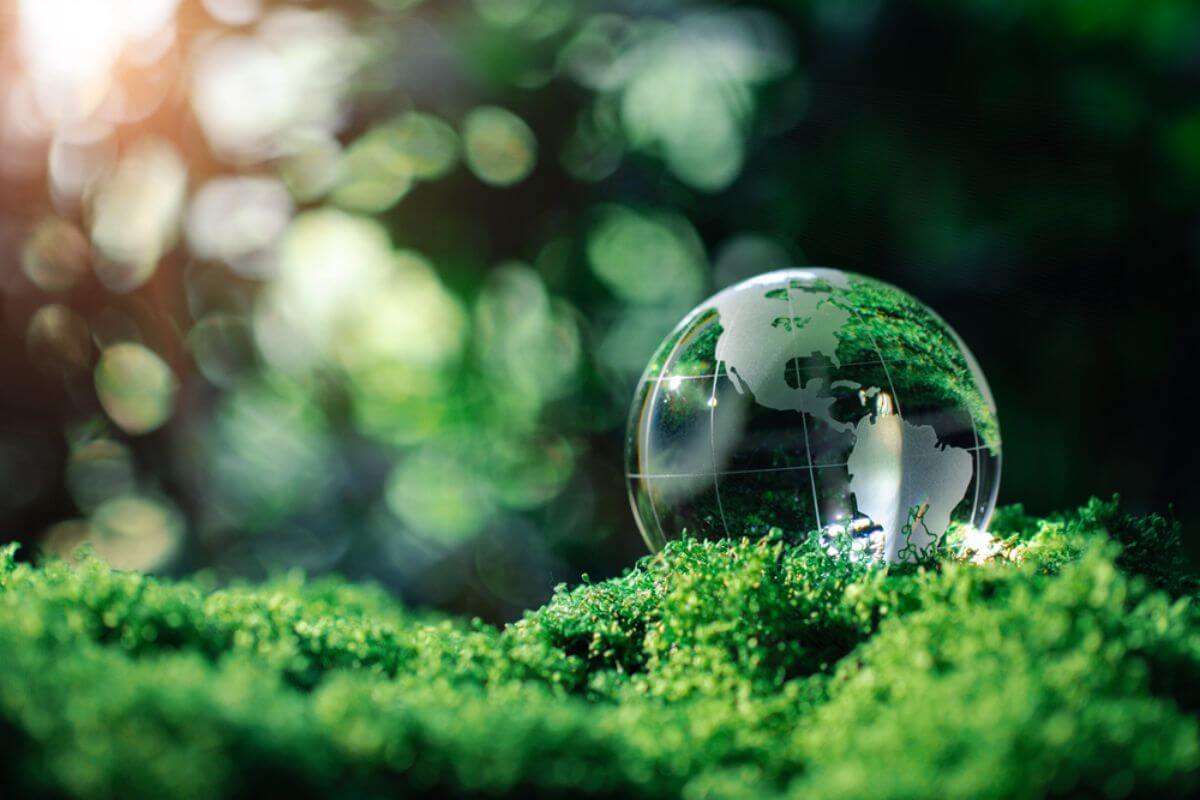 Sustainable Environmental Protection