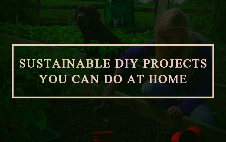 Sustainable-DIY-Projects-You-Can-Do-at-Home
