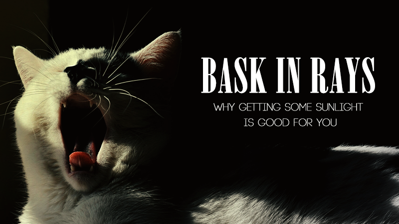 Why Getting Some Sunlight Is Good for You