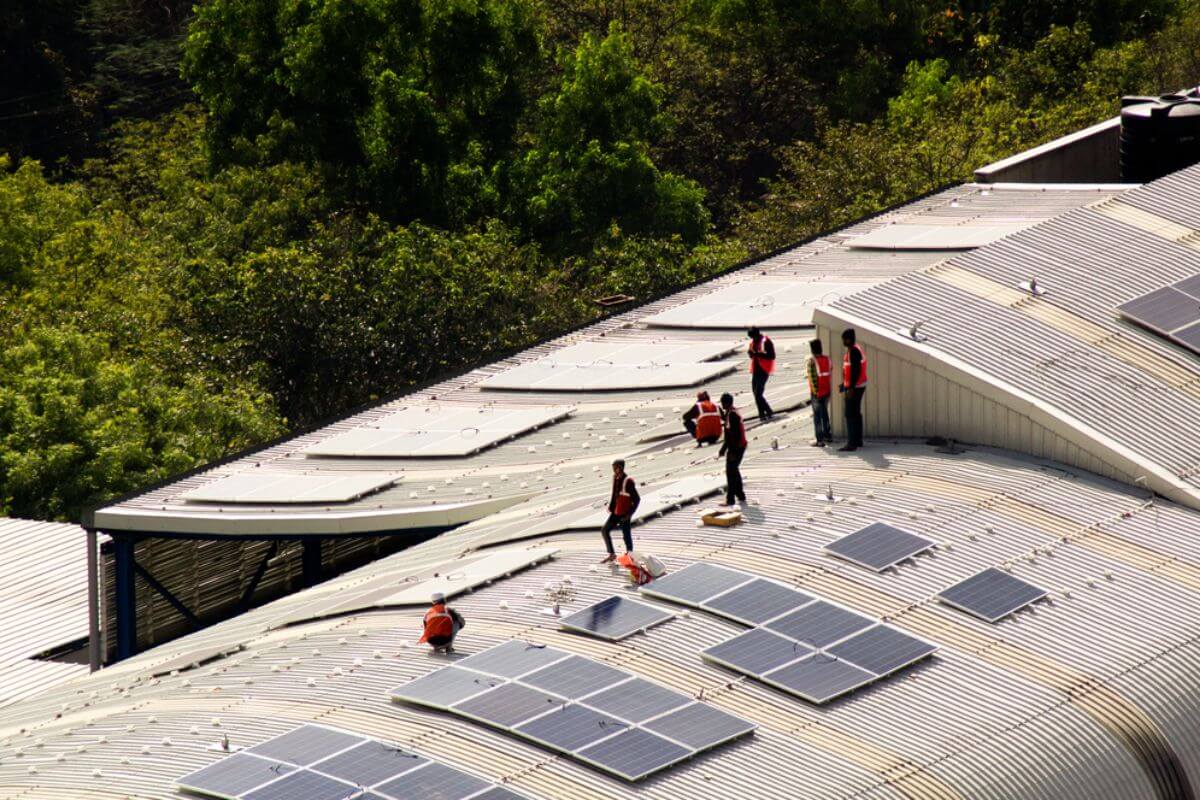 From Concept to Reality: How Solar Plants Are Built