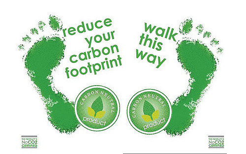 Ways to Reduce Carbon Footprint